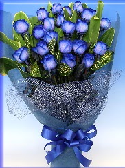19 adet eşsiz mavi gül buketi  Ankara online çiçekçi , çiçek siparişi 