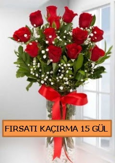  15 İthal kırmızı gül büyük başlı orjinal  Ankara anneler günü çiçek yolla 