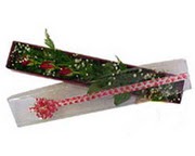  Ankara hediye çiçek yolla  3 adet gül.kutu yaldizlidir.