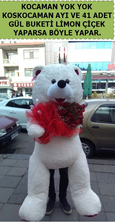 Koskocaman beyaz ayı ve 25 adet gül  Ankara anneler günü çiçek yolla 
