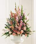  Ankara �i�ek , �i�ek�i , �i�ek�ilik  Glayor karanfil Gerbera tanzim