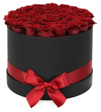 Siyah Kutuda 25 adet kırmızı gül  Ankara İnternetten çiçek siparişi 