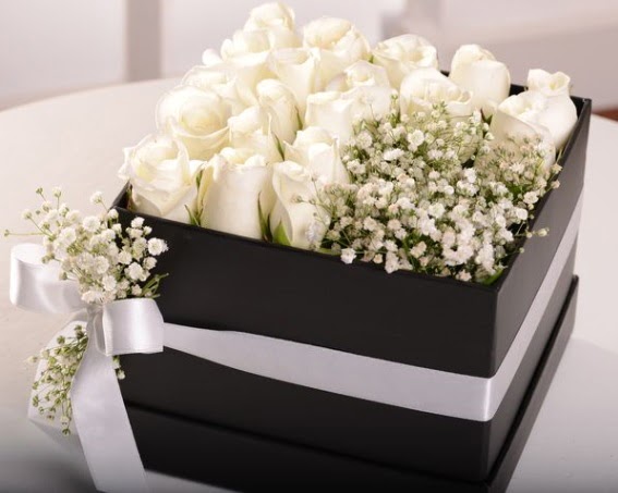 Kutu içerisinde 19 beyaz gül ve cipsofilya  Ankara ucuz çiçek gönder 