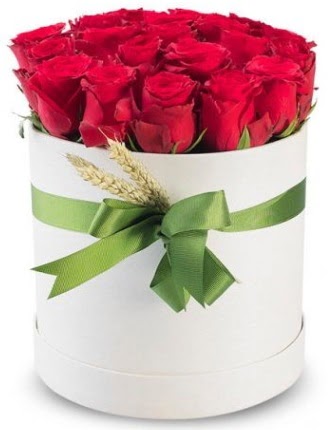 Özel kutuda 25 adet kırmızı gül çiçeği  Ankara çiçek , çiçekçi , çiçekçilik 