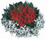  Ankara �i�ek ma�azas� , �i�ek�i adresleri  12 adet kirmizi �zel g�ller